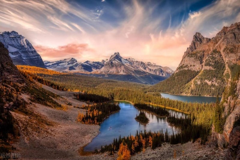 网络舆论风波_平台言论自由平衡_知名网红黑料,