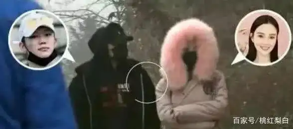 娱乐圈预言家 应采儿预言 莫小棋星座预测_娱乐圈的预言家