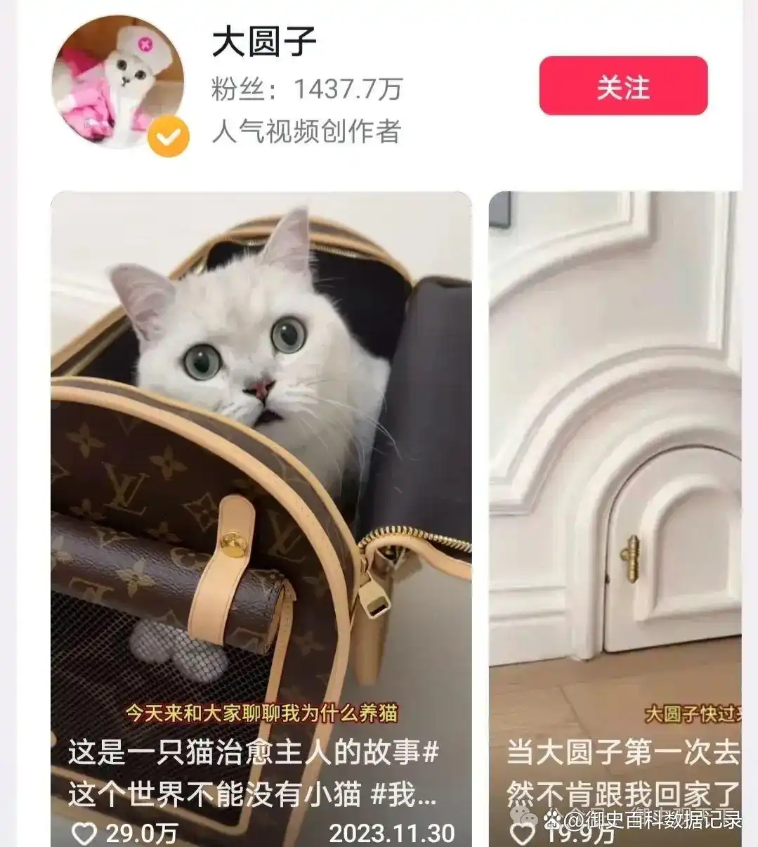湖北十大网红排名_湖北抖音网红榜_湖北八卦网红主播是谁啊-