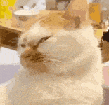 快手抖音网红黑料是谁发的视频,_网红不当行为_直播低俗内容