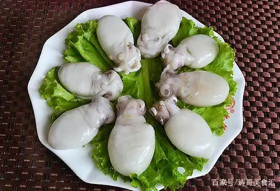 青岛墨鱼饺子特点_网红寿司黑暗料理是什么,_山东黑暗料理